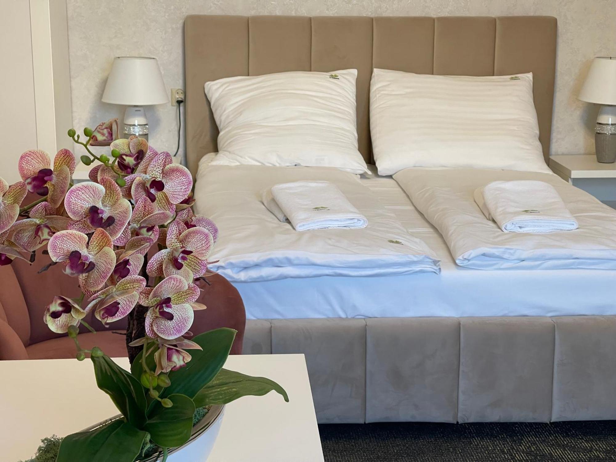 Pensjonat Spa U Tomasza 尼彻兹 外观 照片